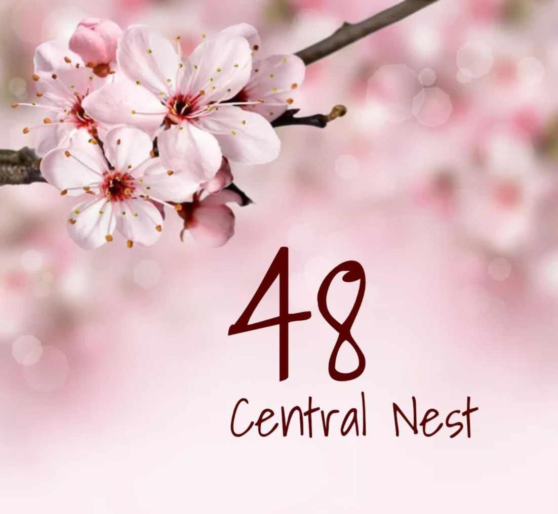 וולוס 48 Central Nest מראה חיצוני תמונה